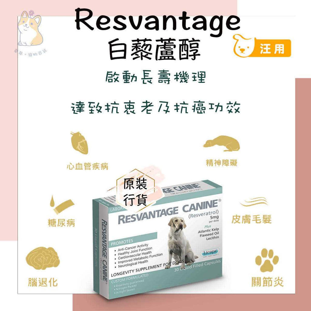 Canine Q226