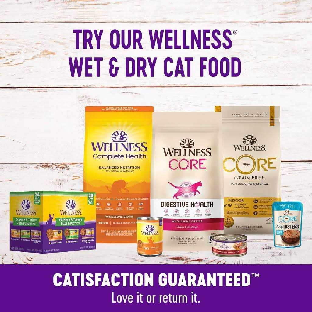 Cat Treats X31430