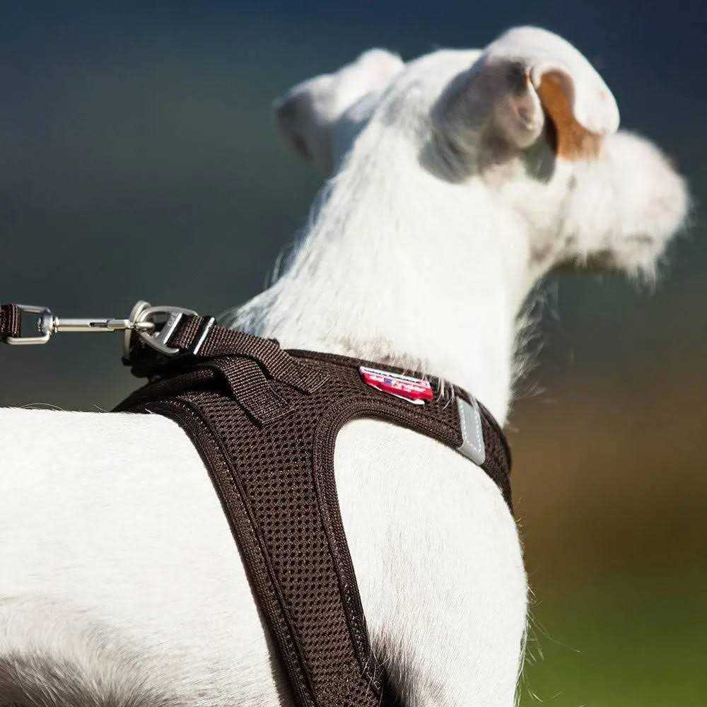 Air-Mesh Vest Harness R31102