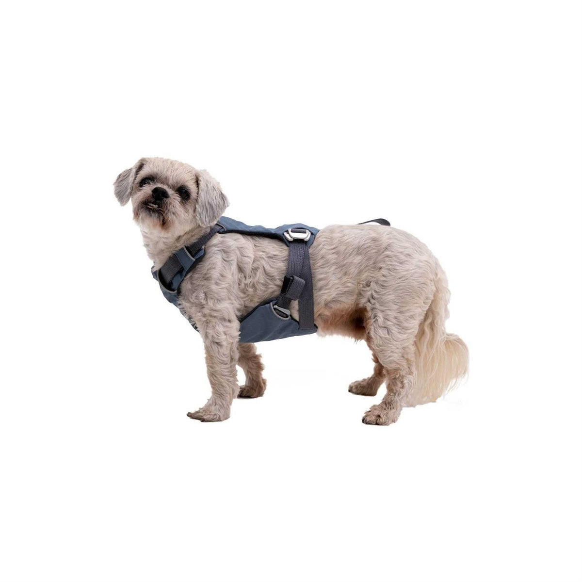 Load Up Harness B81897