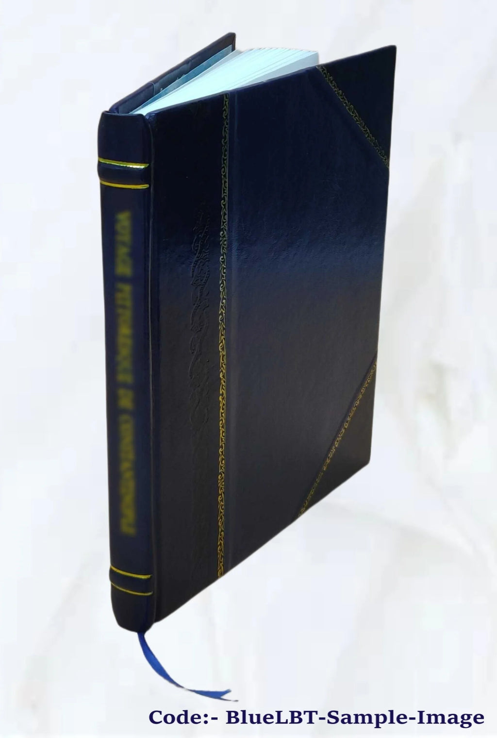 Father Damien Volume 370 1923 Leather Bound U830