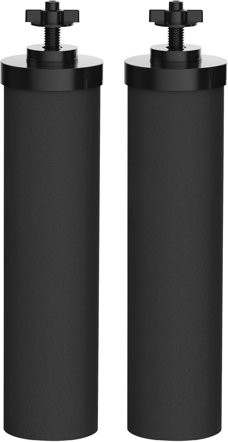 Water Filter Replacement Elements (2 Pack) W7221
