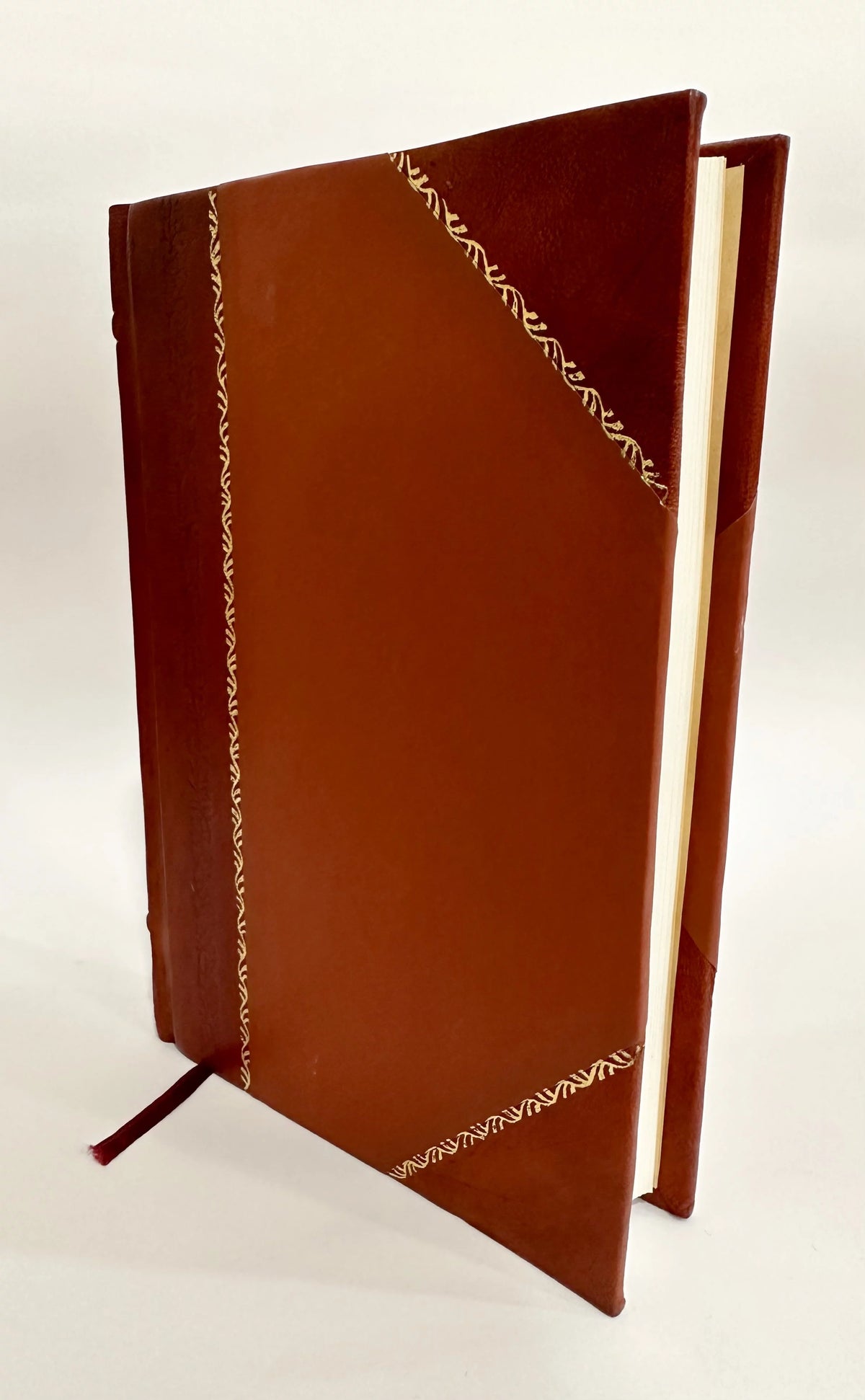 19th Century Ireland History Leather Bound F98400