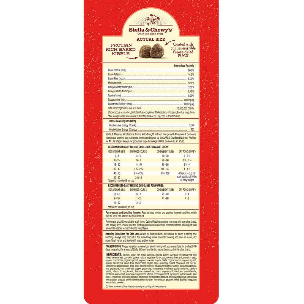 Raw Coated Kibble with Wholesome Grains Dog N735410