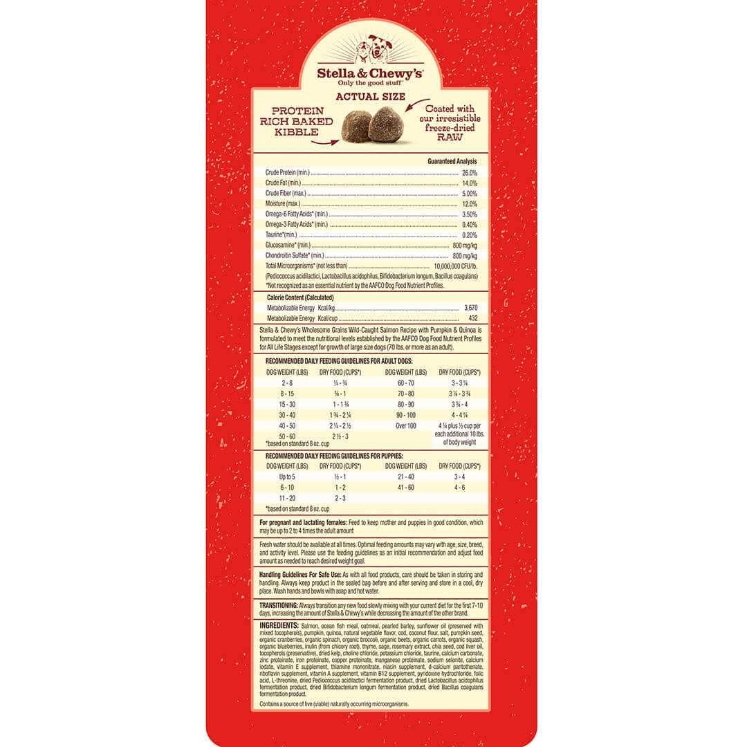 Raw Coated Kibble with Wholesome Grains Dog N735410