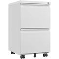 Black 2 Drawer Metal Mobile File Cabinet with Lock R253548