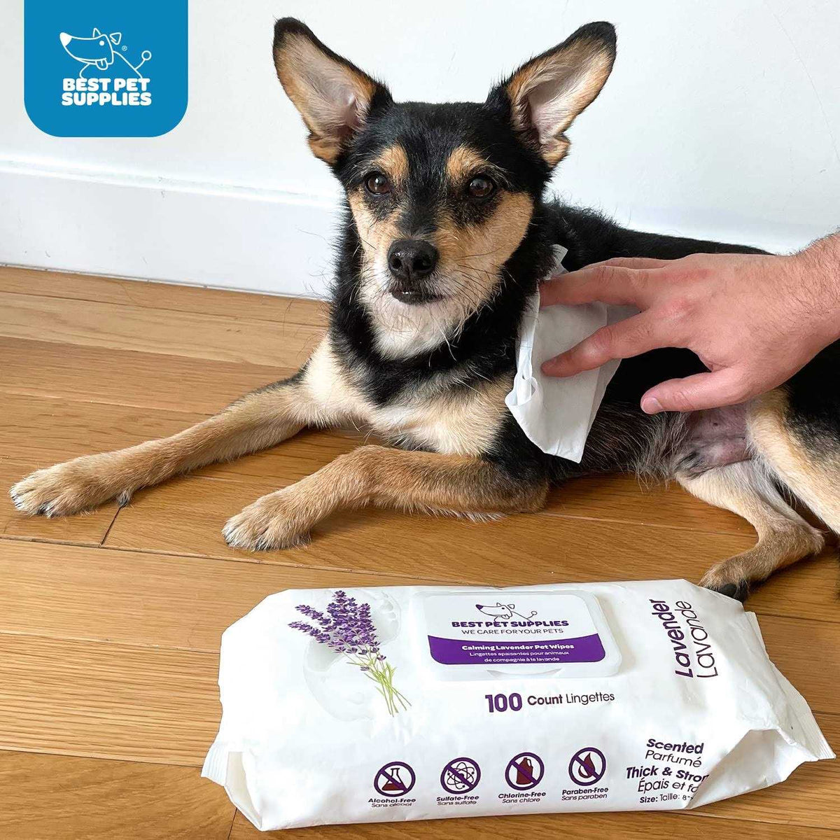 Plant-Based Pet Grooming Wipes 400 Pack I742992