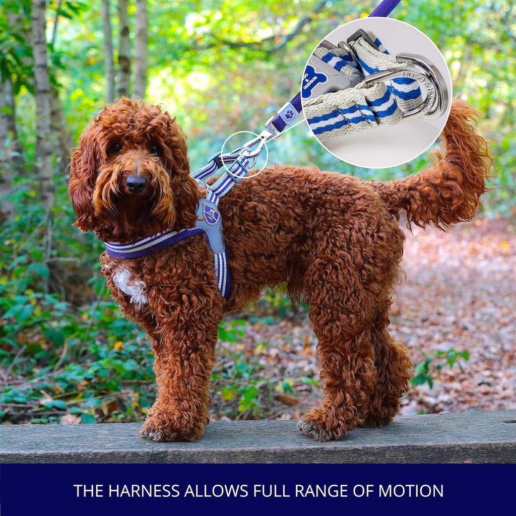 Dog Harness K269