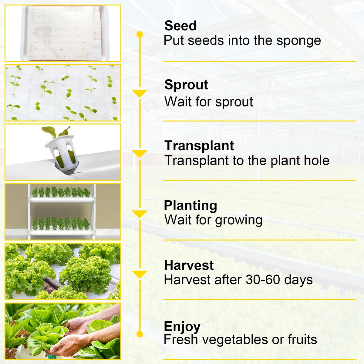 72 Plant Sites 4 Layers 8 Pipes Hydroponic Grow Kit U615511