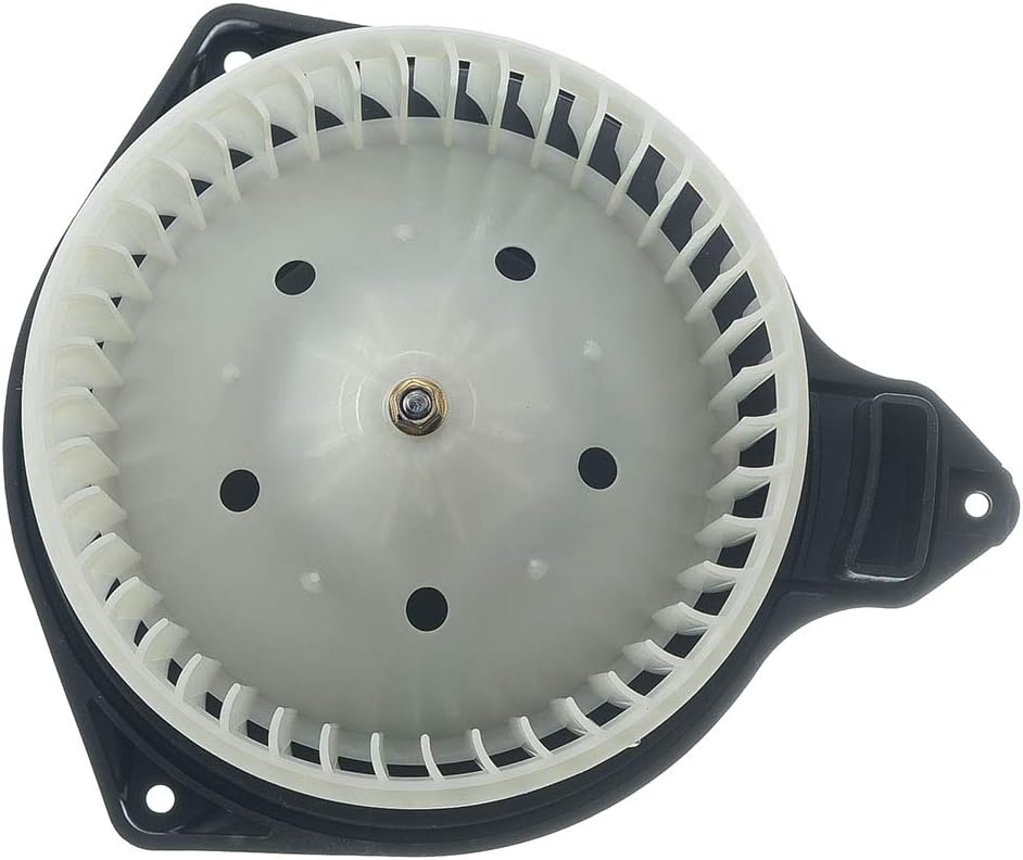 Heater Blower Motor with Fan Cage Pack of 2 O25396