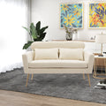 Mid Century Modern Chenille Two-Seater Sofa with 2 Throw Pillows S760350