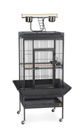 Black Wrought Iron Parrot Bird Cage Y439508