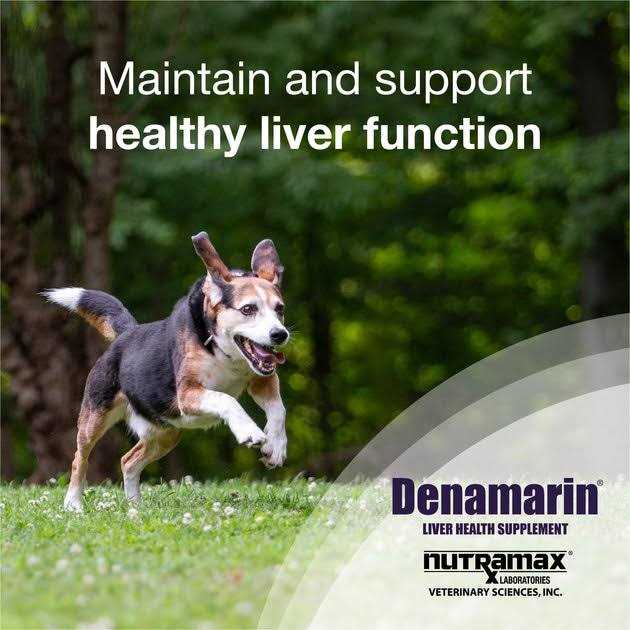 Liver Health Tablets Dogs C96587