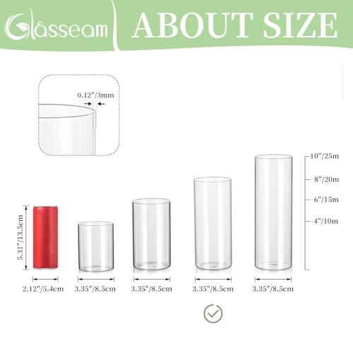 Glass Cylinder Vases Set of 12, Clear Flower Vase, 6in W8499