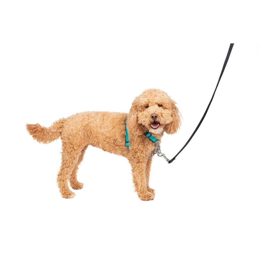 3 in 1 Harness N346490