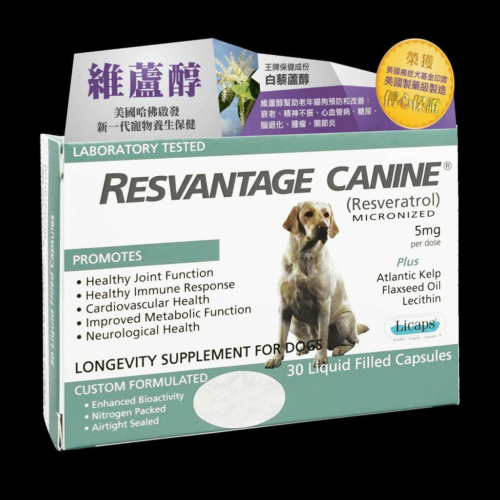 Canine Q226