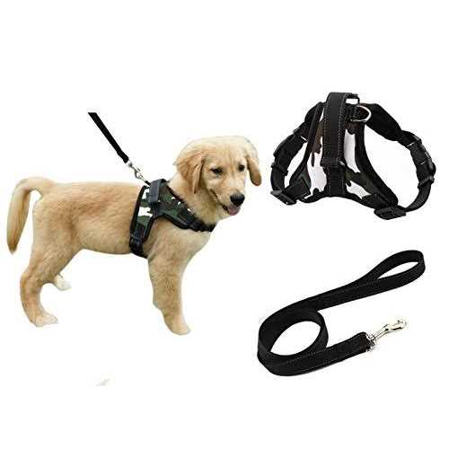 Adjustable Reflective No-Pull Padded Dog Harness with Leash Set T404