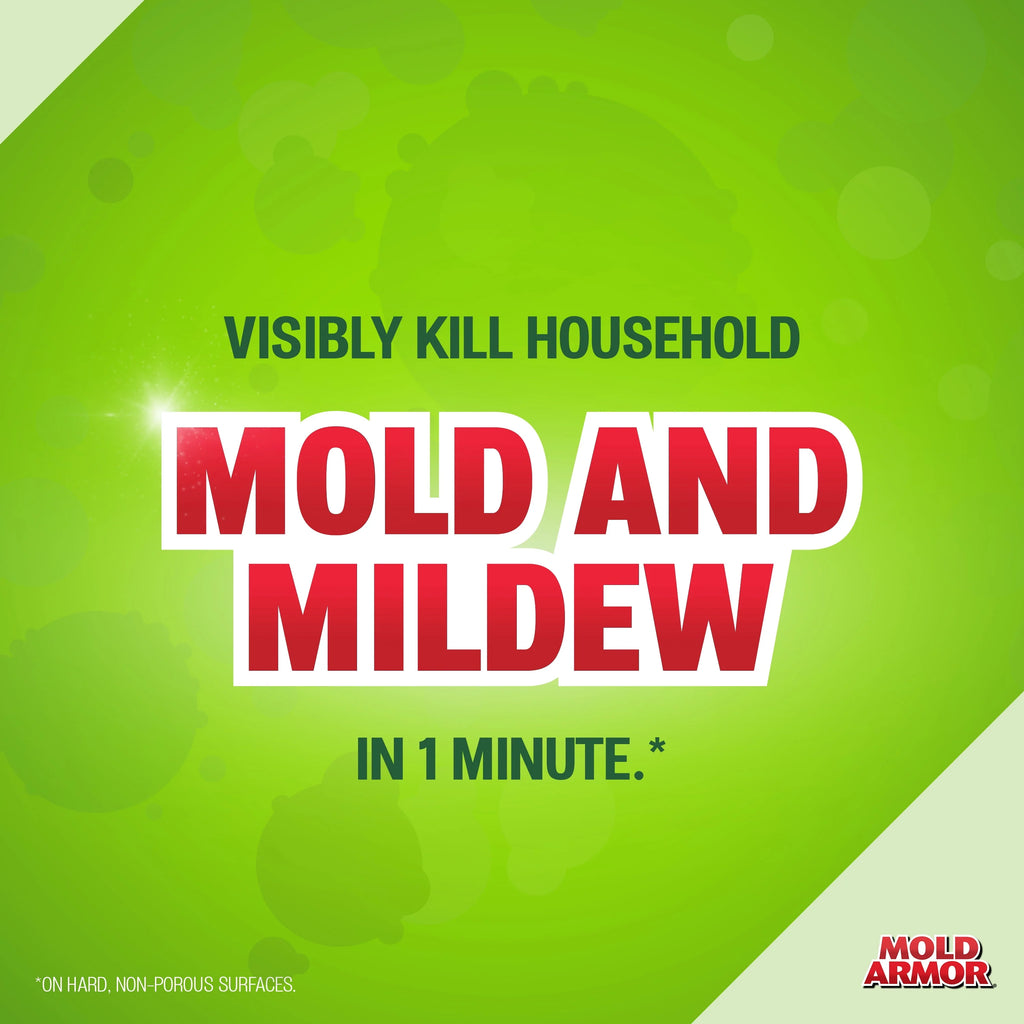 Mold and Mildew Killer + Quick Stain Remover, 32 oz. O89065