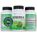 1200mg Berberine Veggie Capsules with Royal Jelly Y409