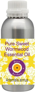 Pure Sweet Wormwood Essential Oil 300ml (10 oz) Z6601