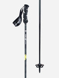 Ski Poles M5408