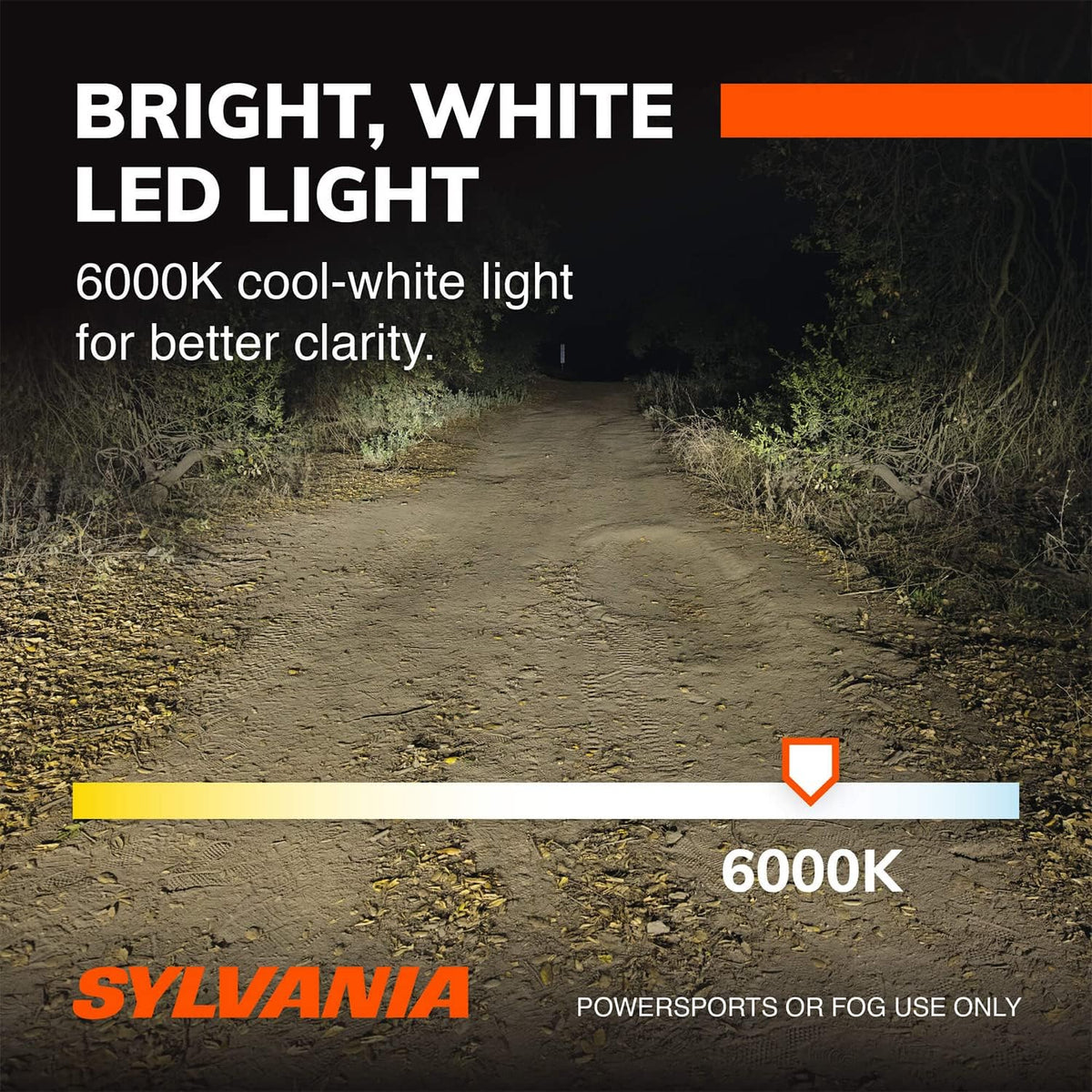 H7 LED Powersport Headlight Bulbs, Cool Bright White, 2 Pack Z3180