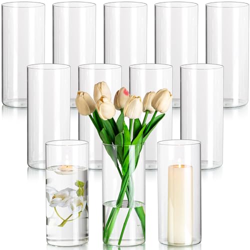 Glass Cylinder Vases Set of 12, Clear Flower Vase, 6in W8499