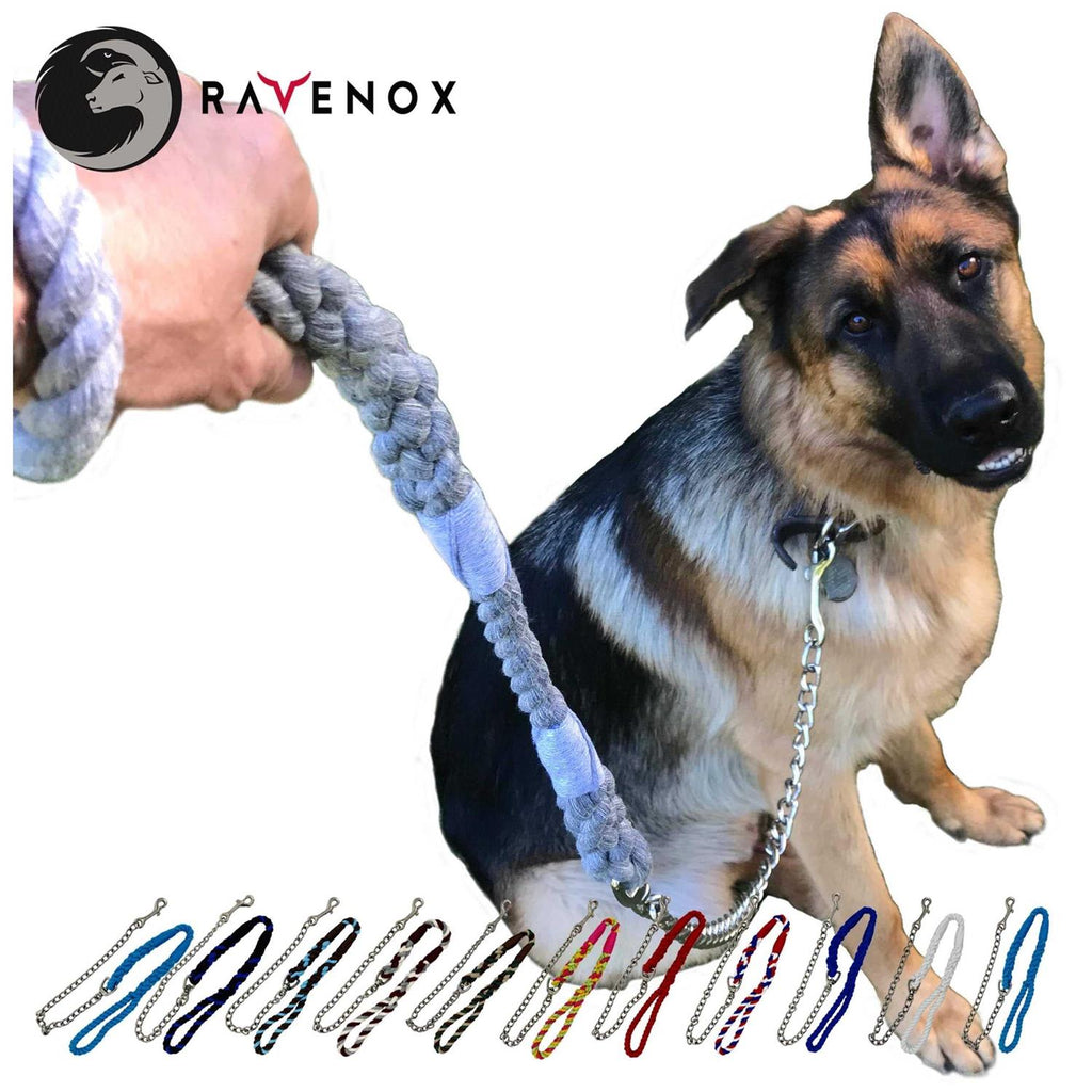 Dog Leash with Chain A70831