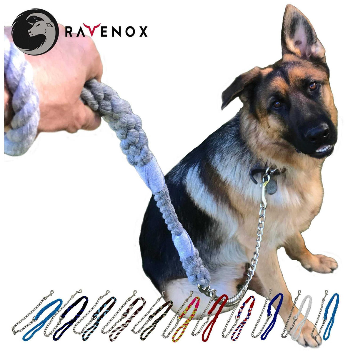 Dog Leash with Chain A70831