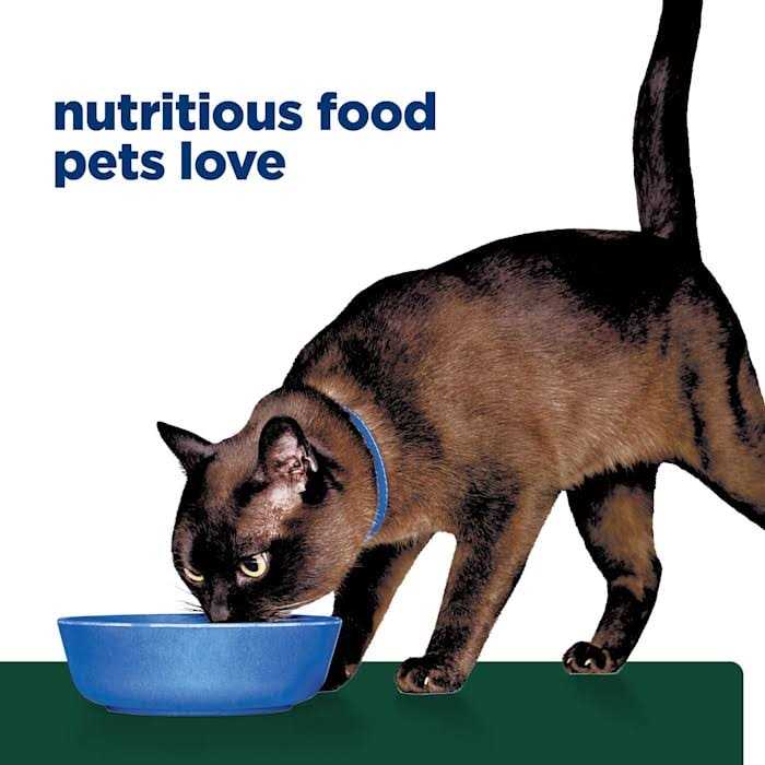 Glucose/Weight Management Cat Dry Food P30630