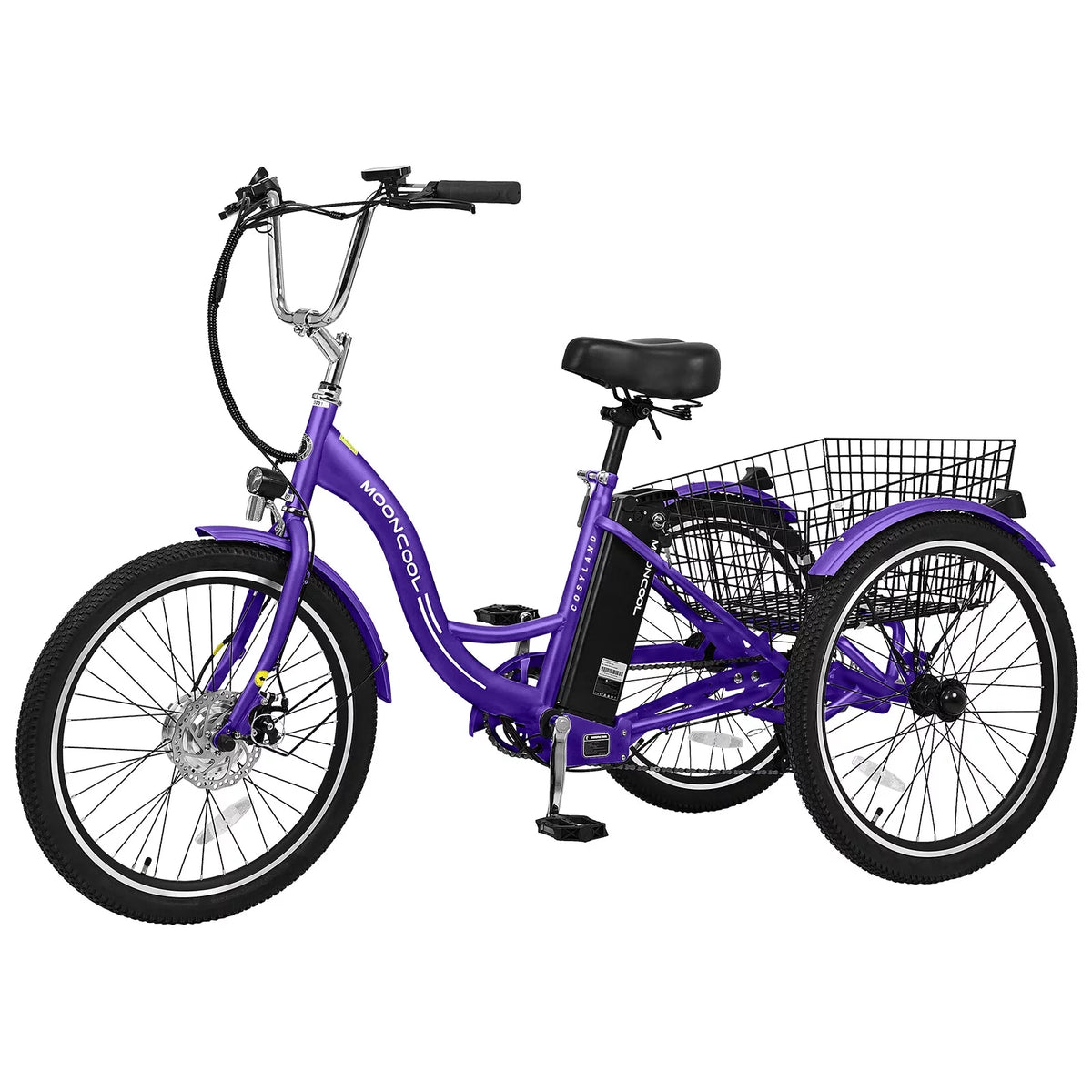 3 Wheel Electric Bike with Removable 36V 10Ah Lithium Battery T829312