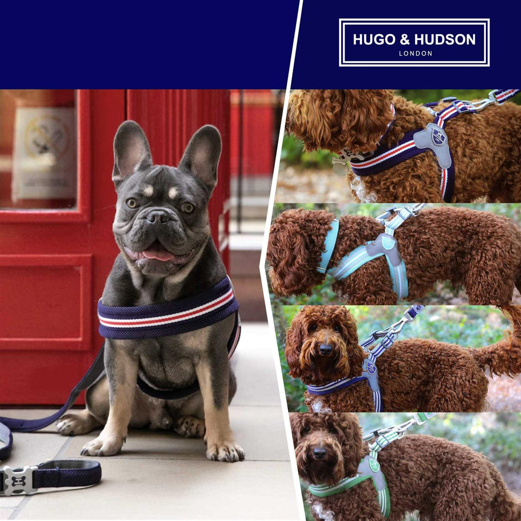 Dog Harness K269