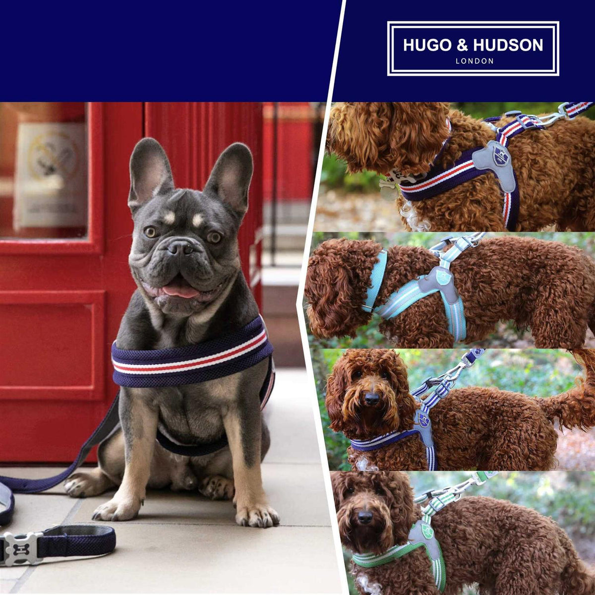 Dog Harness K269
