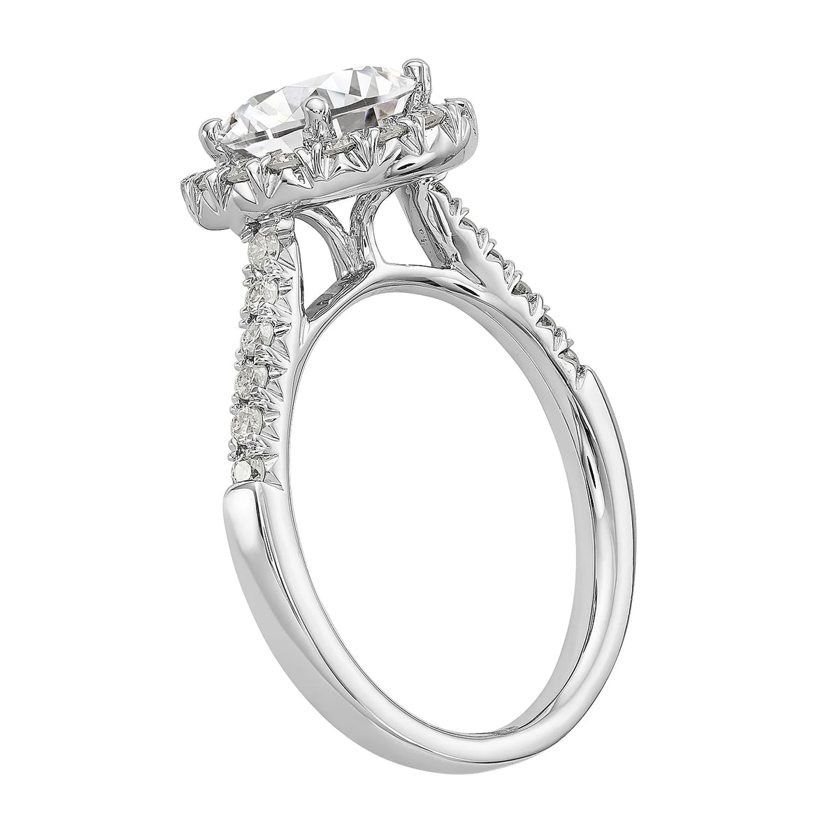 14 Karat White Gold Round Halo Moissanite Engagement Ring G7173
