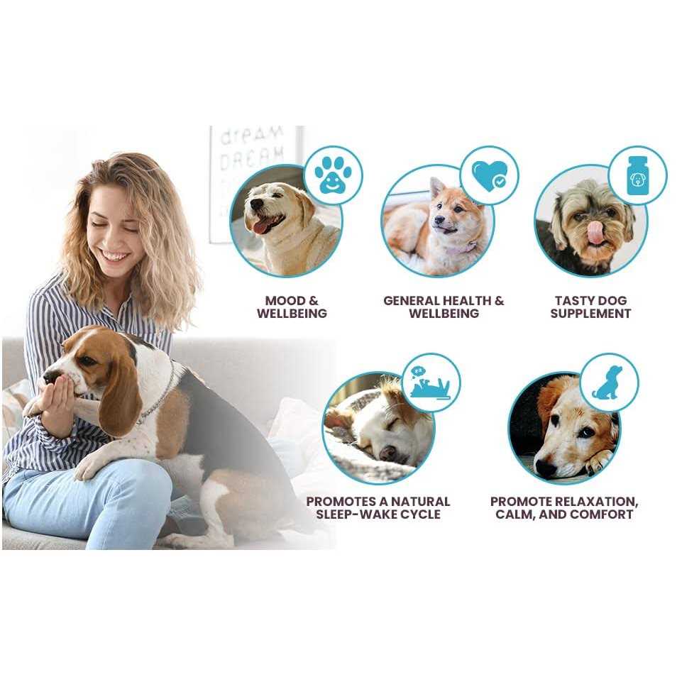 1mg Melatonin for Small Dogs T823690