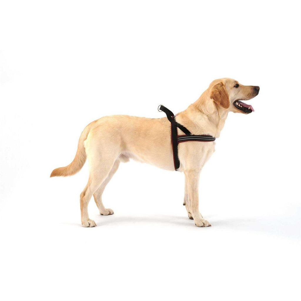 Sport Harness E642