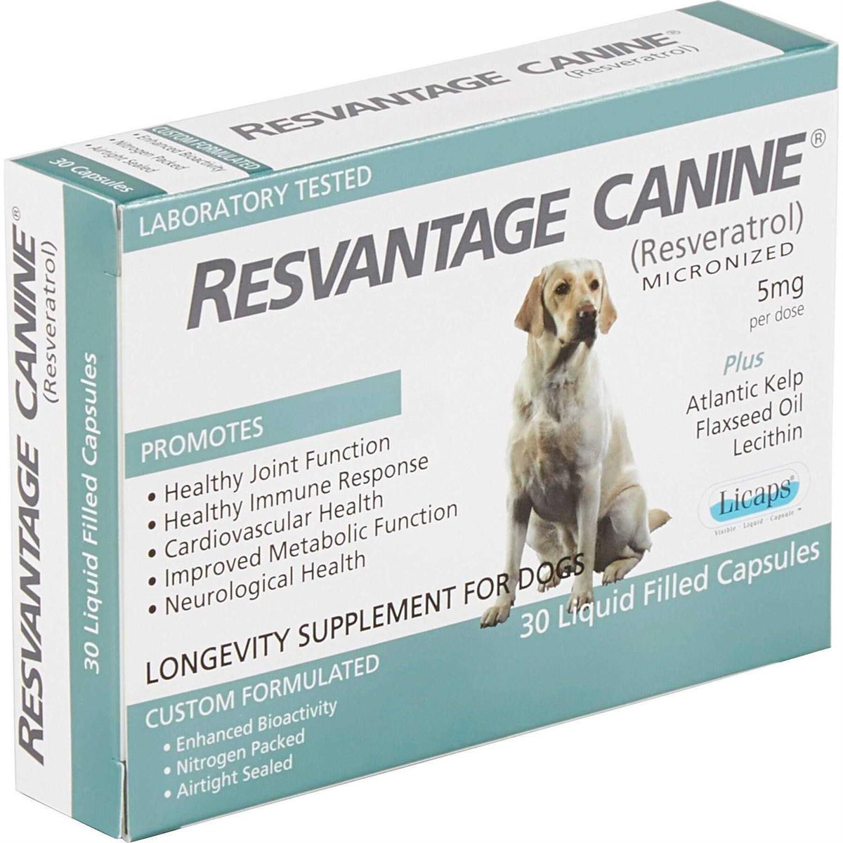Canine Q226