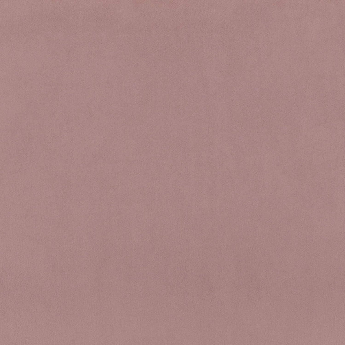 Pink Velvet Arm Chair L97119