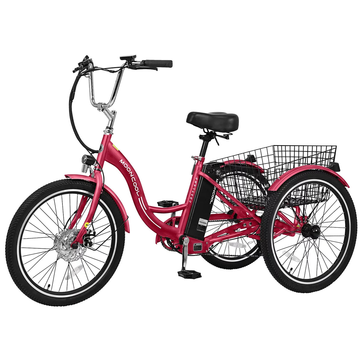3 Wheel Electric Bike with Removable 36V 10Ah Lithium Battery T829312