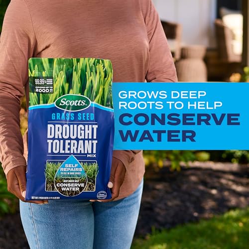 4 lb. Drought Tolerant Grass Seed Mix V8721