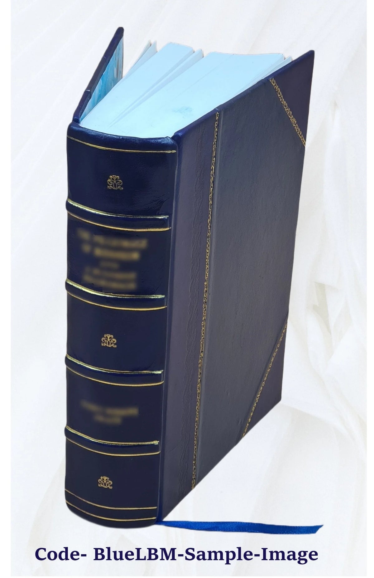 Leather Bound Book D1773