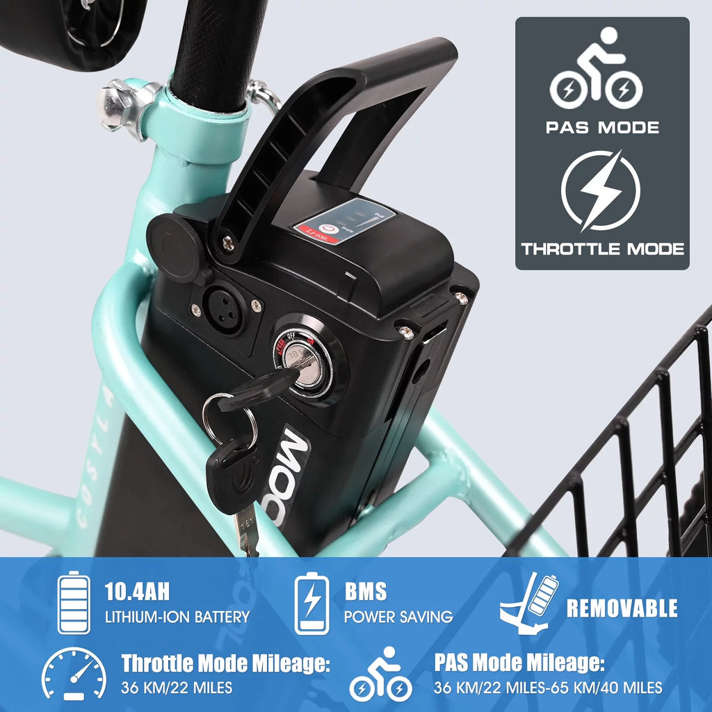 3 Wheel Electric Bike with Removable 36V 10Ah Lithium Battery T829312