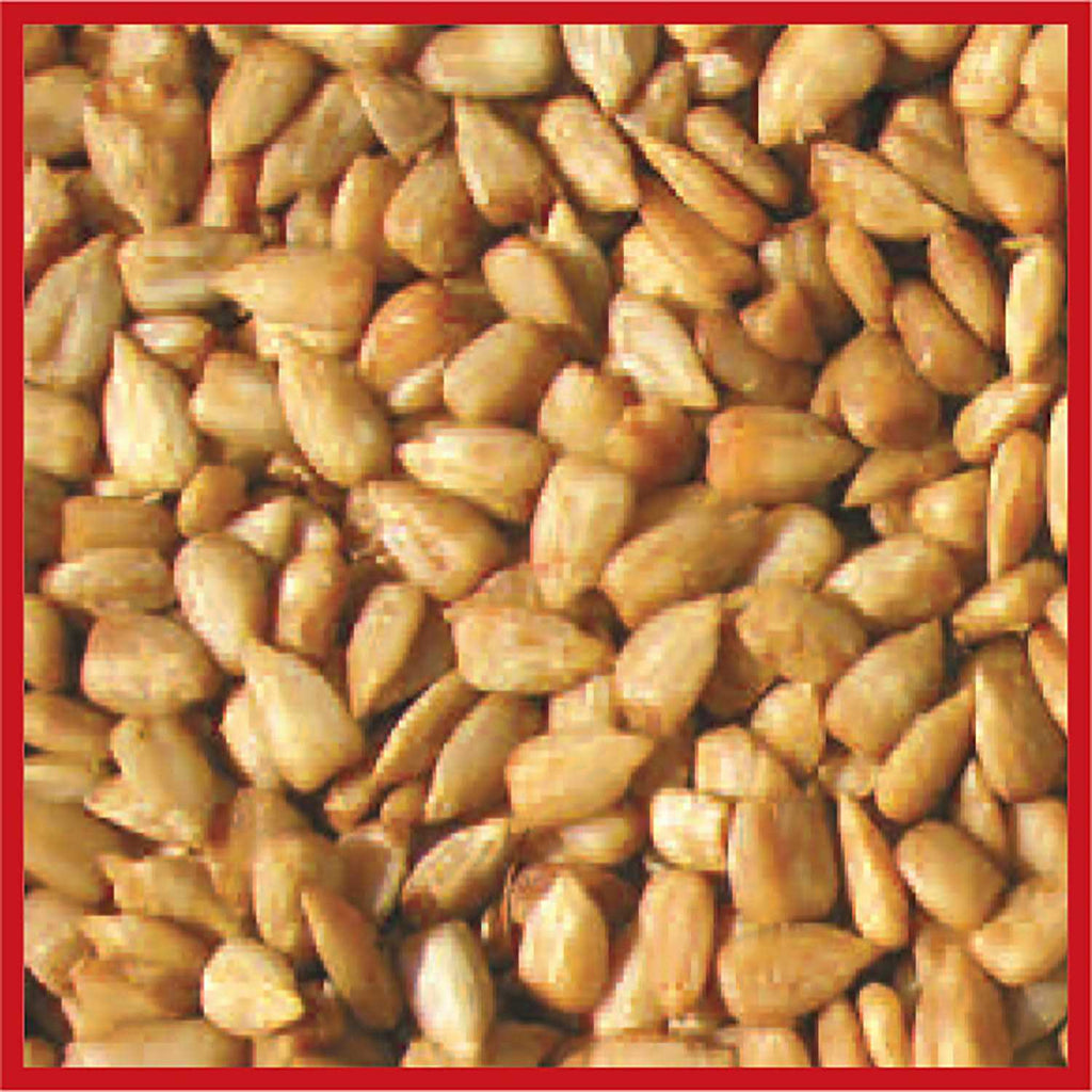 Bird Food F1308