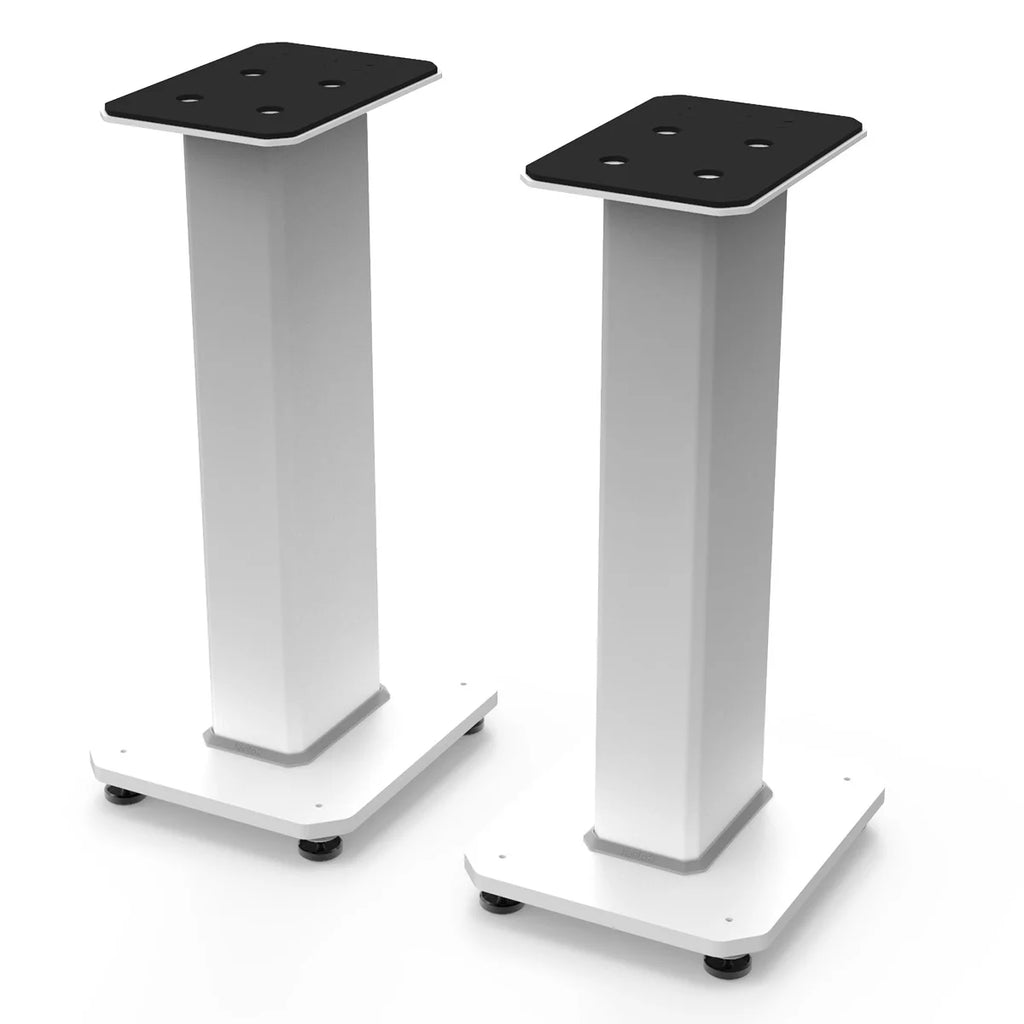 Fillable Speaker Floor Stands Q191147