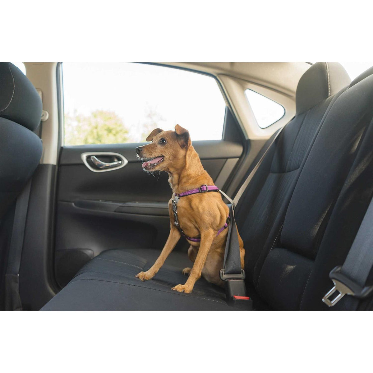 3 in 1 Harness N346490