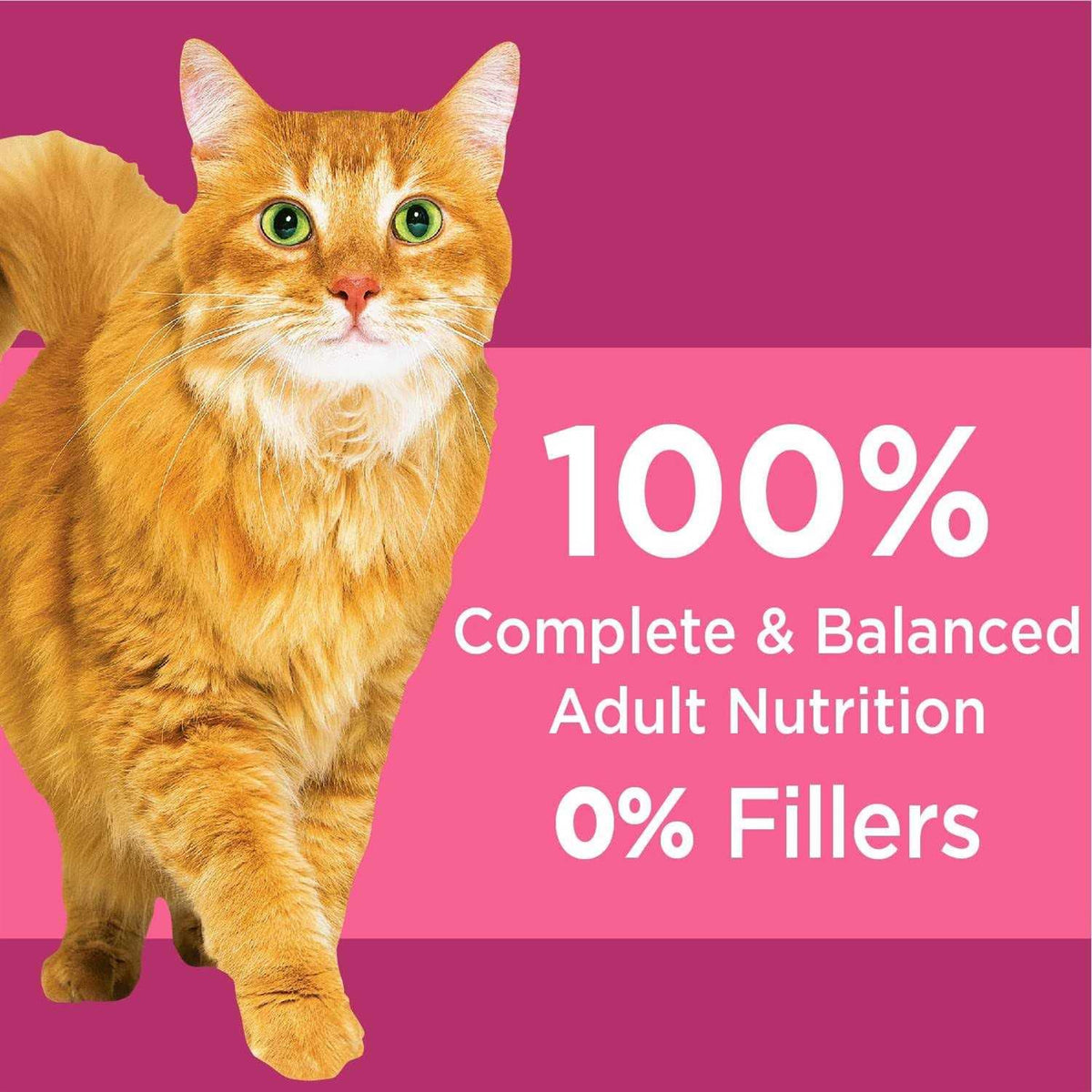 Chicken Adult Urinary Tract Dry Cat Food I8844