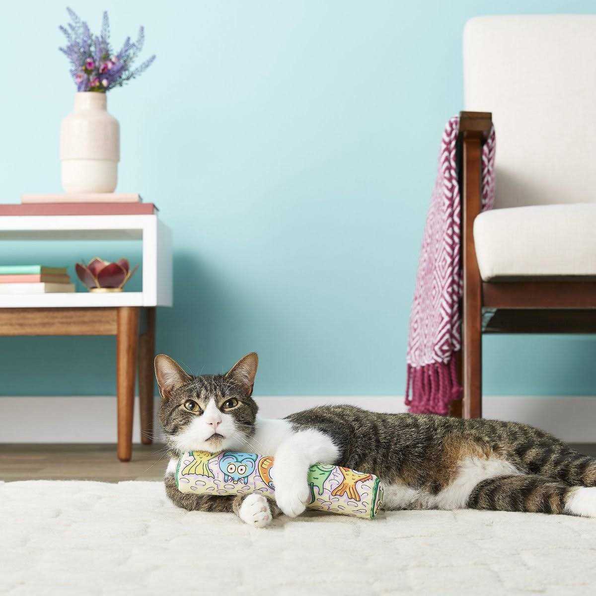 Cat Toy W12304