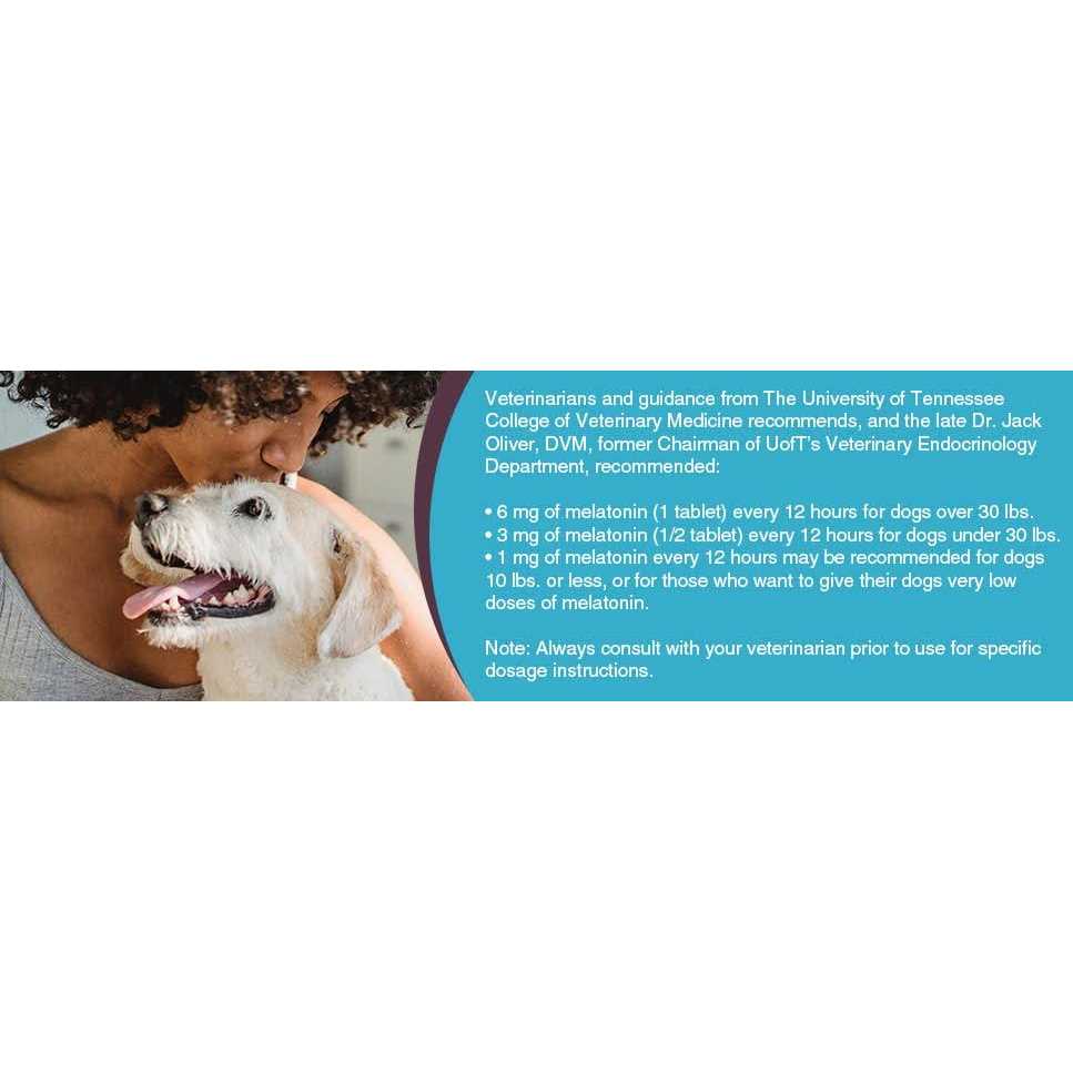 1mg Melatonin for Small Dogs T823690