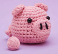 Crochet Kit I302