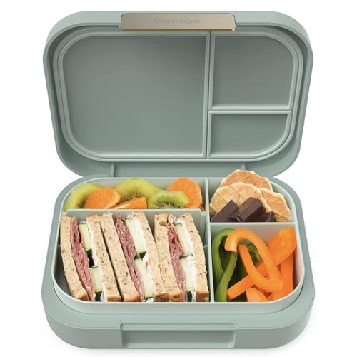 44oz BPA-Free Bento Lunch Box L779